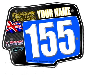 EURO ROUND Plate Birmingham 2014 Blue Female